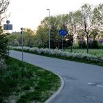 Peaceful park walkway surrounded by trees and greenery, ideal for relaxation.