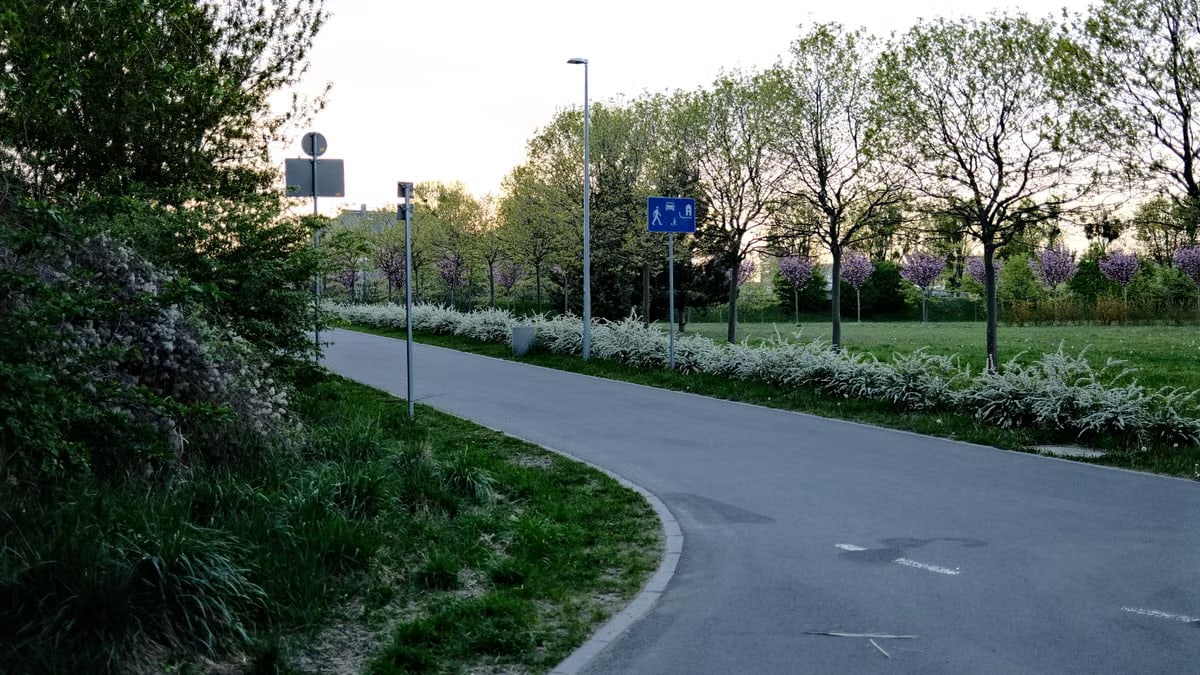Peaceful park walkway surrounded by trees and greenery, ideal for relaxation.